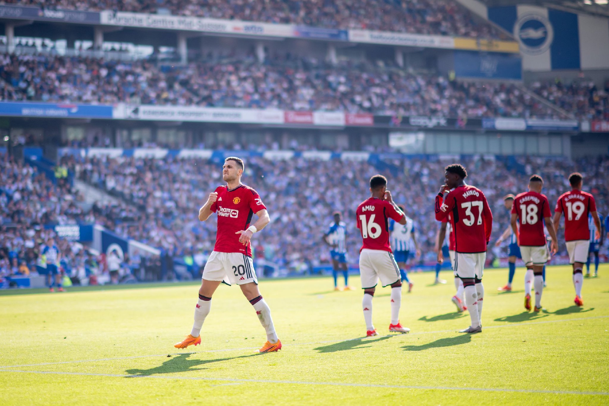 以及培养新 以及培养新