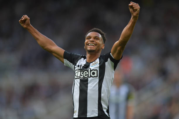 比的统治力 比的统治力