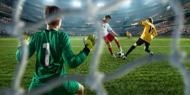 费内巴切与 费内巴切与